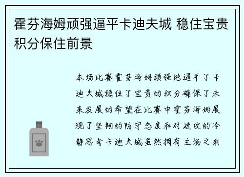 霍芬海姆顽强逼平卡迪夫城 稳住宝贵积分保住前景