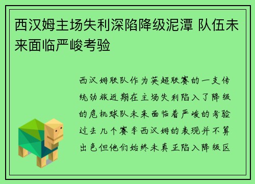西汉姆主场失利深陷降级泥潭 队伍未来面临严峻考验