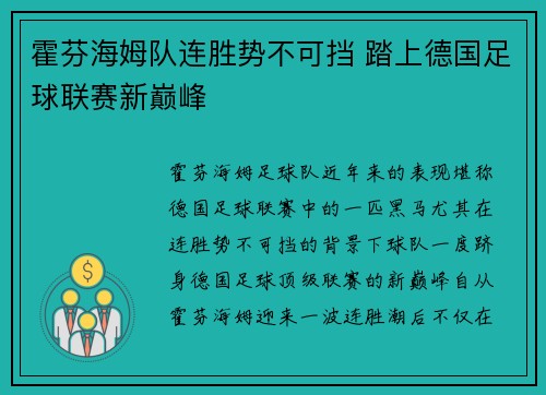 霍芬海姆队连胜势不可挡 踏上德国足球联赛新巅峰