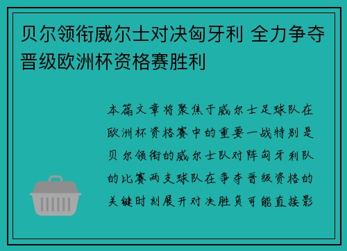 贝尔领衔威尔士对决匈牙利 全力争夺晋级欧洲杯资格赛胜利