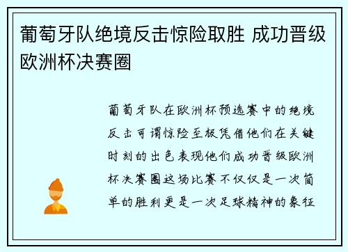 葡萄牙队绝境反击惊险取胜 成功晋级欧洲杯决赛圈