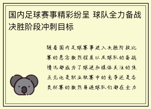 国内足球赛事精彩纷呈 球队全力备战决胜阶段冲刺目标